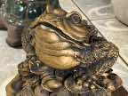 Frog of Fortune Frog of Fortune